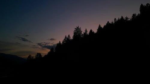 Drone Shot of a Forest at Dusk