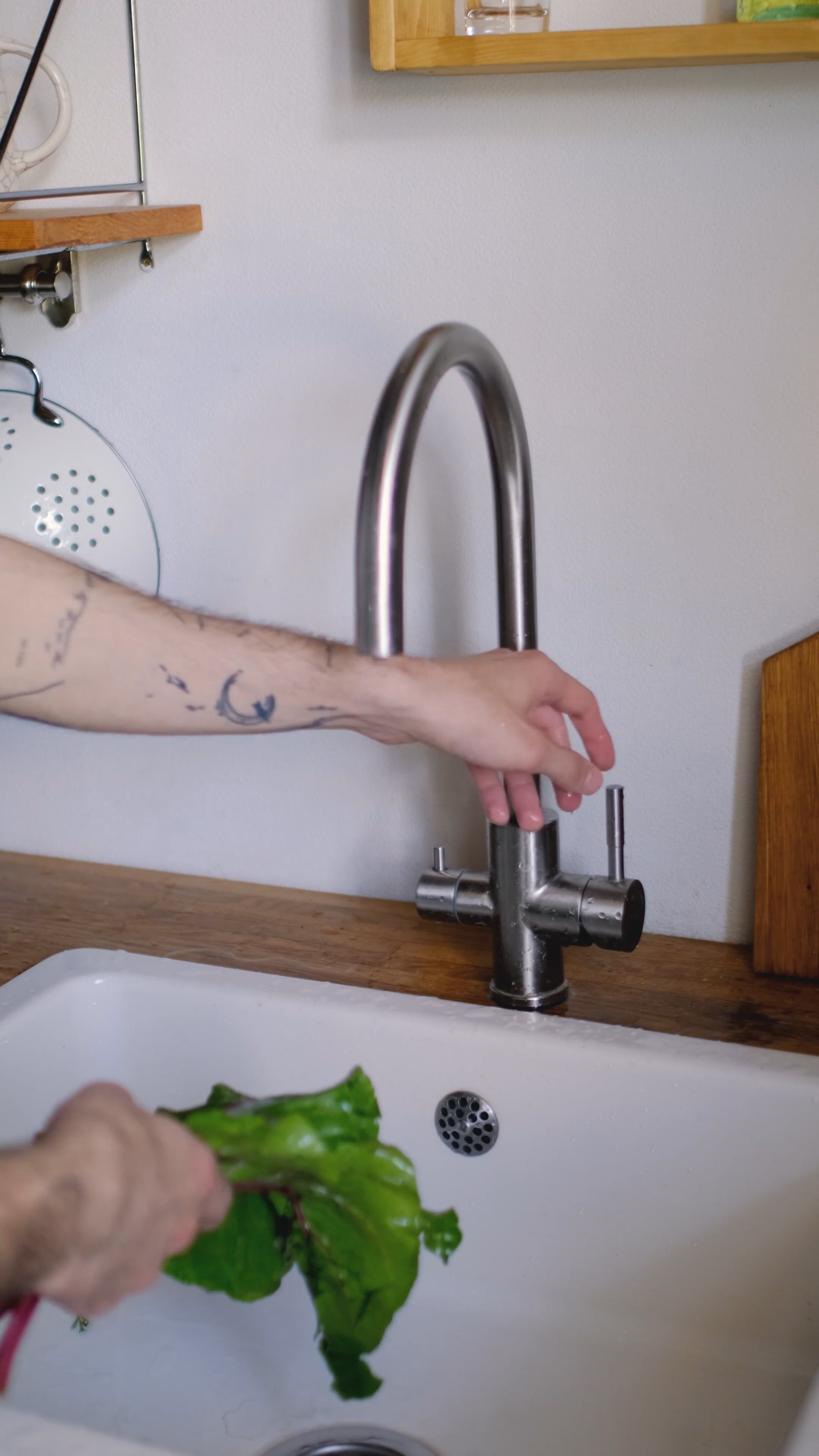 A Person Washing Chard Leaves in the Kitchen Sink Free Stock Video