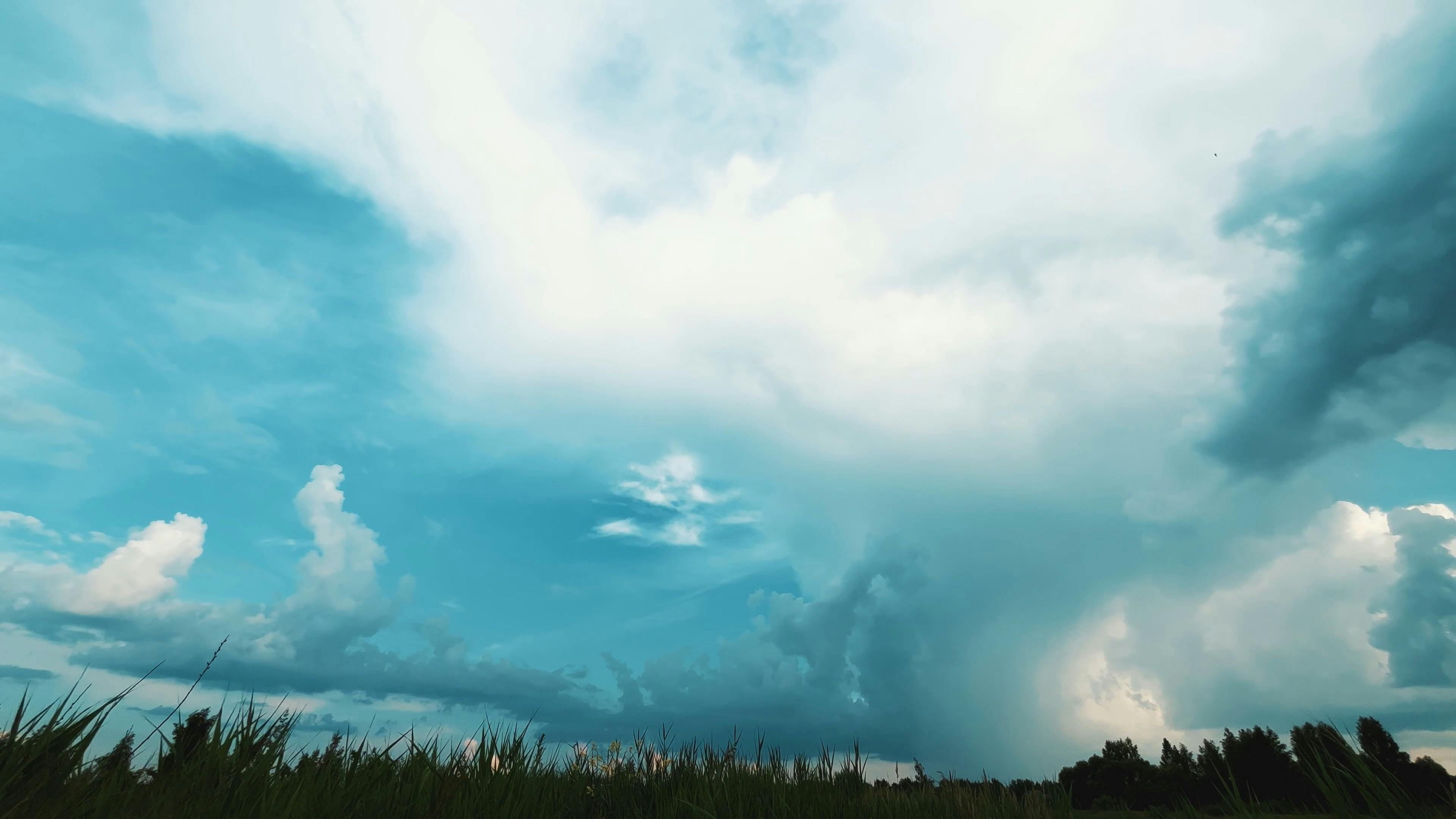 Video by Dmitry Marchenkov