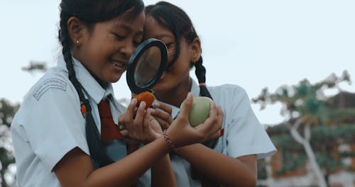 Students Looking at Fruits Through Magnifier
