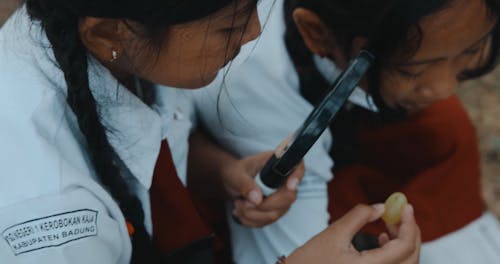 Girls Using Magnifier on School Trip