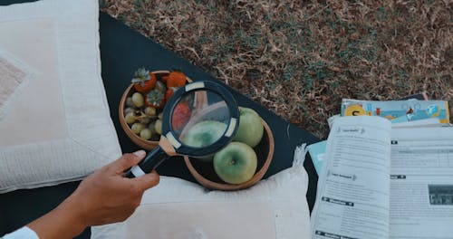 Hand Holding a Magnifying Glass Over Fruit