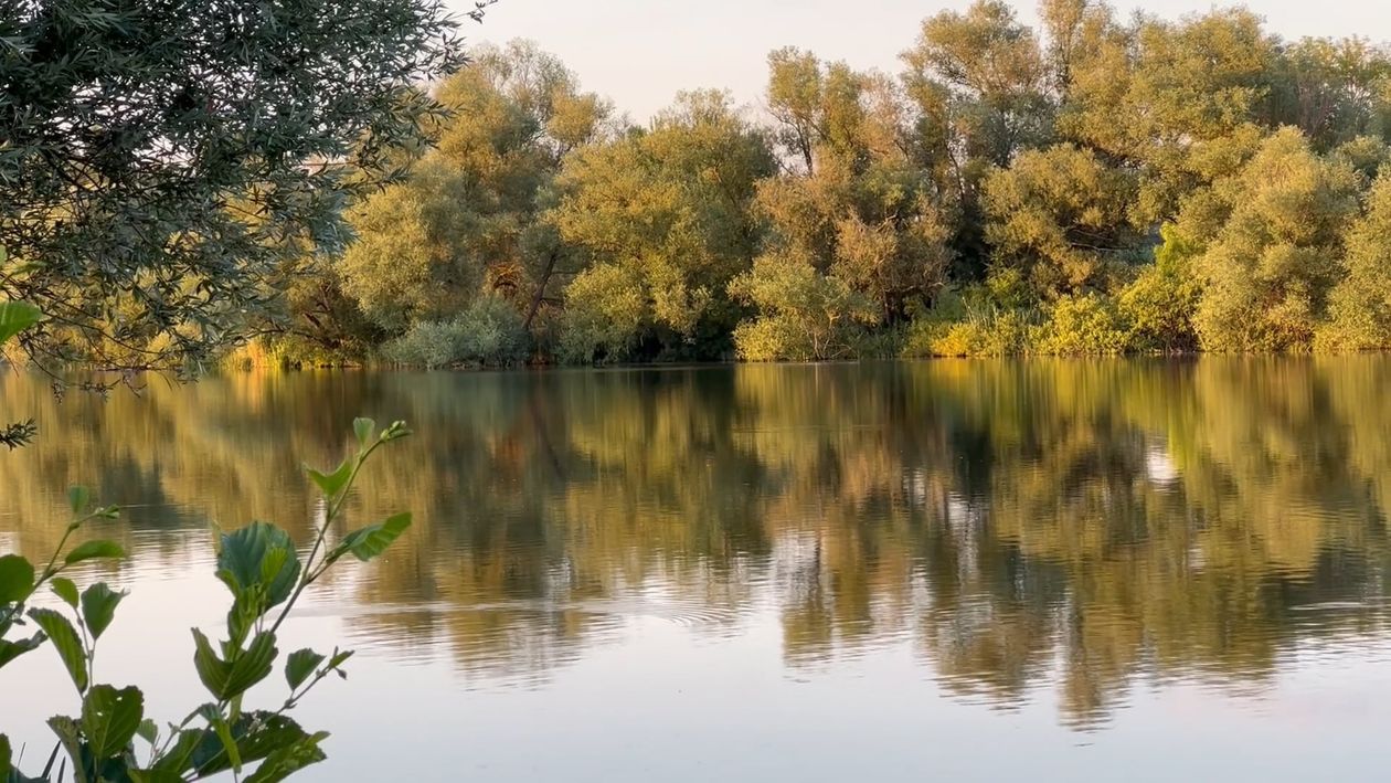 River and Forest near Town Free Stock Video Footage, Royalty-Free 4K ...