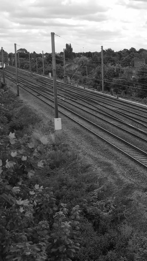 Black and White Footage of a Train
