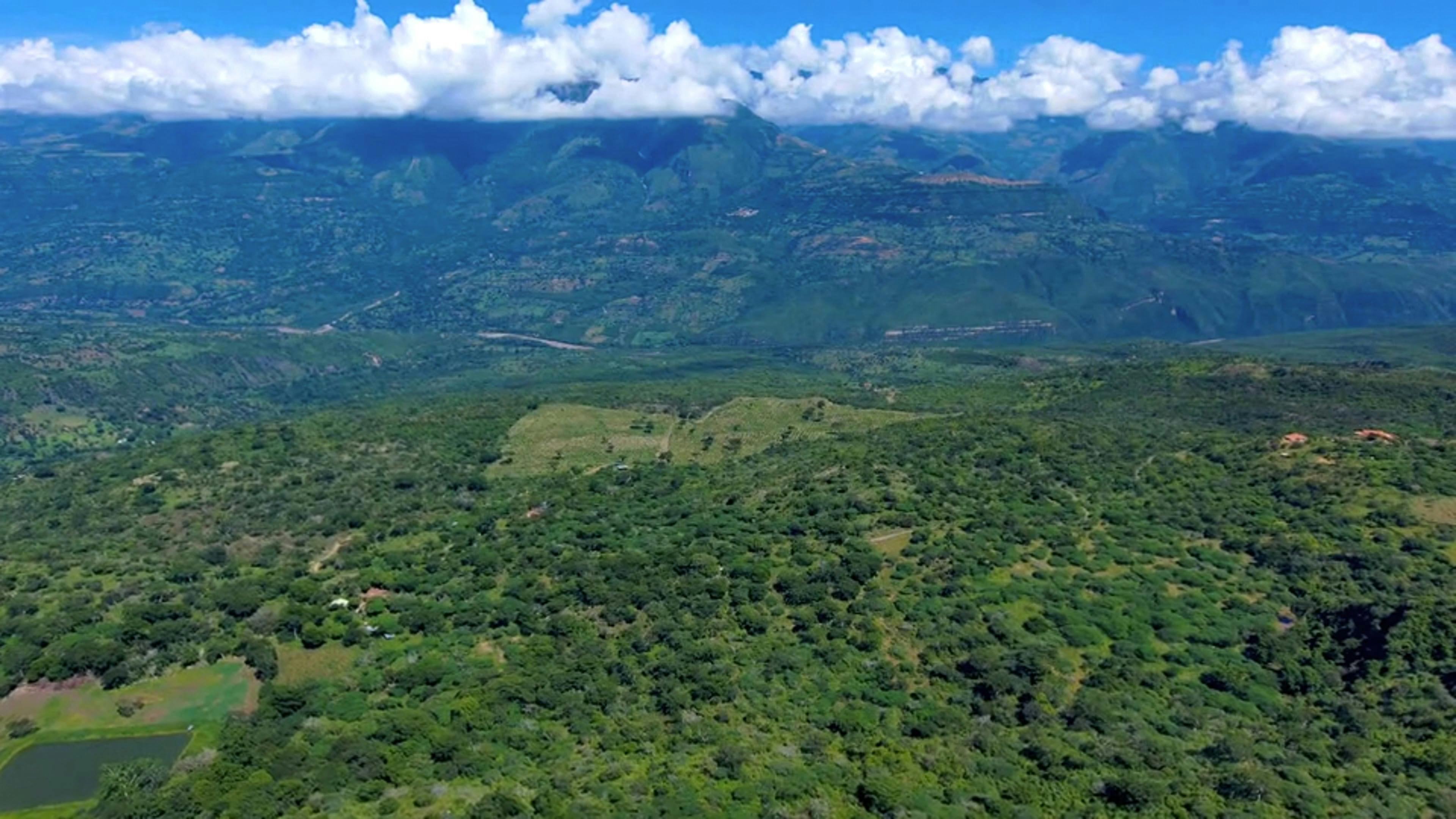 Aerial View of Green Fields and Forest Trees in a Mountain Landscape