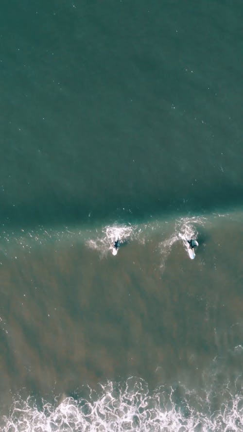 Aerial Footage of a Beach and Surfers on a Sea