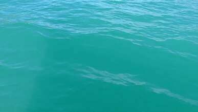 close up of water