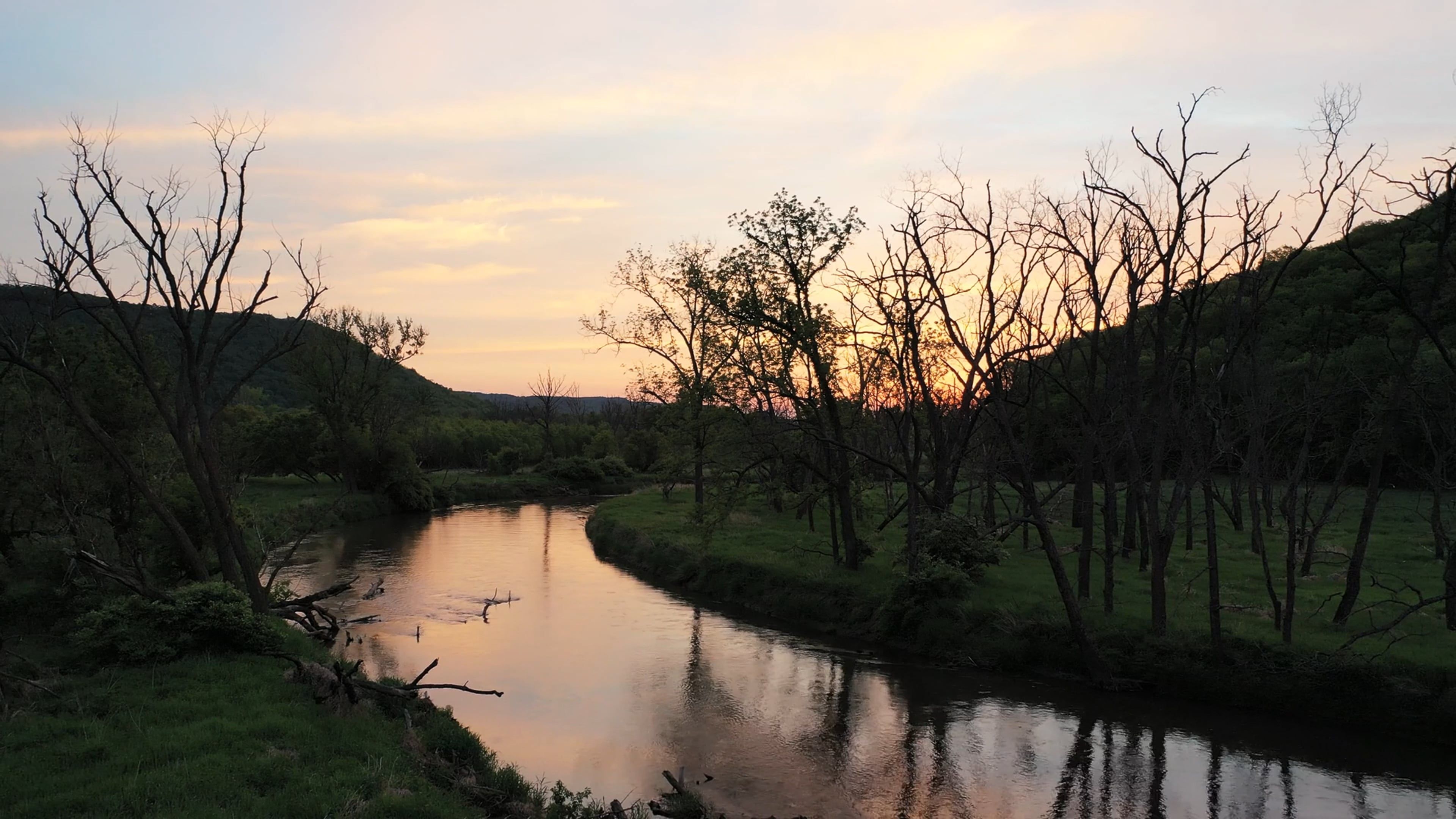 Video by Tom Fisk