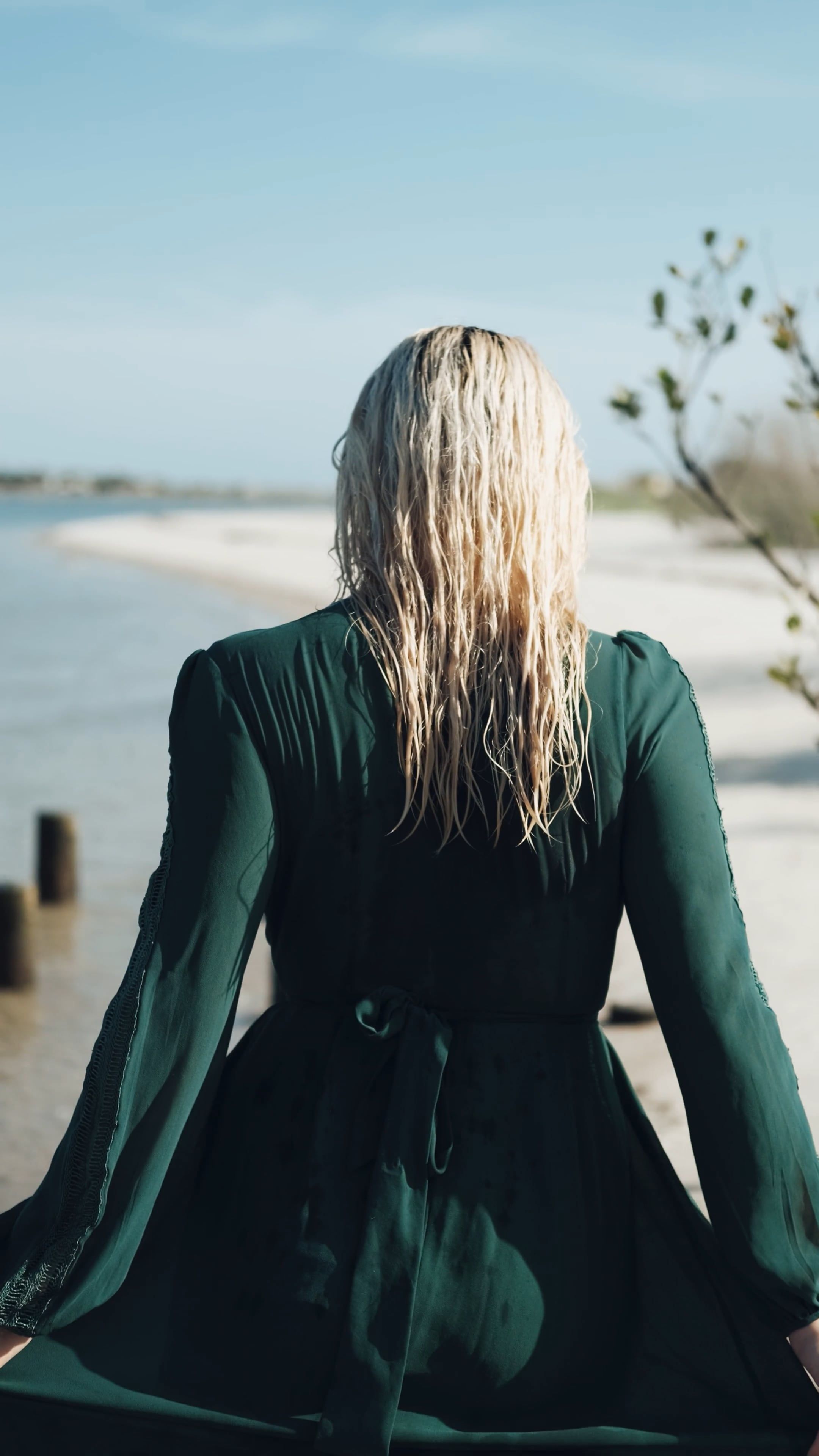 green emerald velvet dress Arabella Embroidered Tulle Maxi Dress