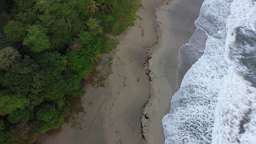 Drone Shot of a Tropical Beach