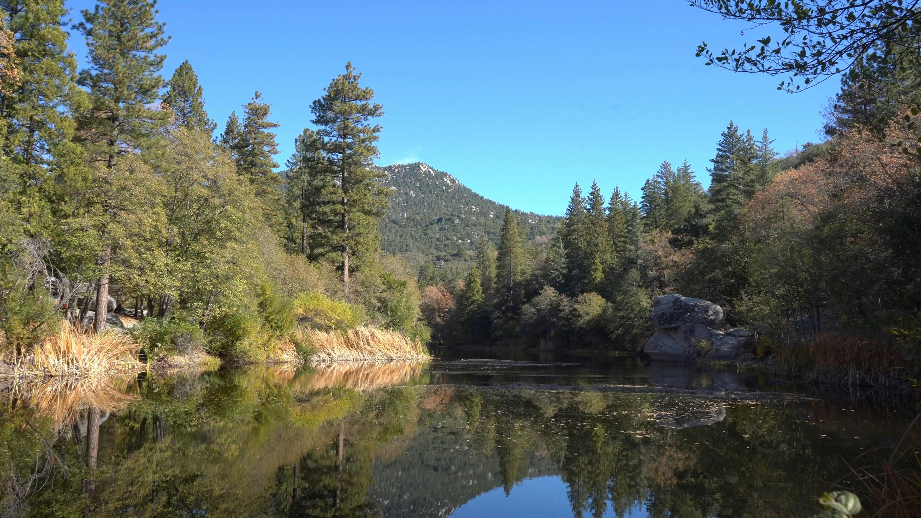 Idyllwild, California