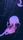 deep sea creatures