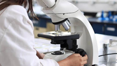 Scientist Looking Through A Microscope While Having A Discussion With ...