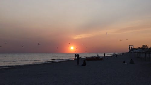 Silhouettes of People on the Beach at Sunset 