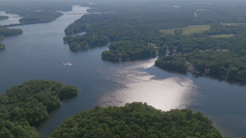 Lake and Forest