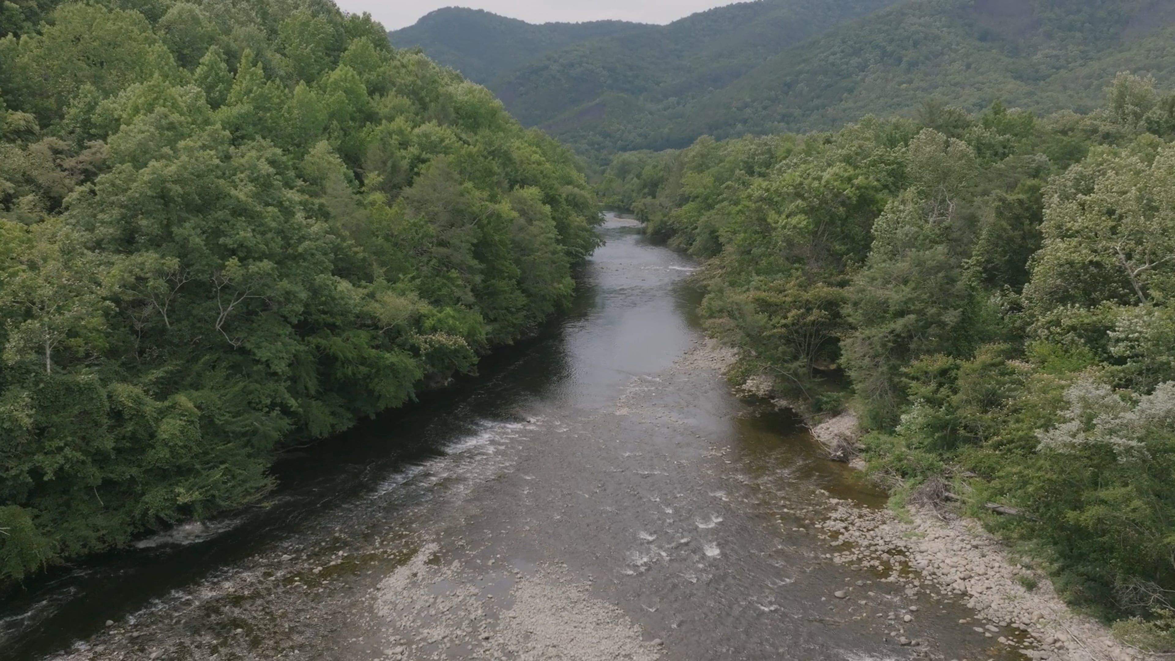 Drone Footage of a River in a Forest Free Stock Video Footage, Royalty ...
