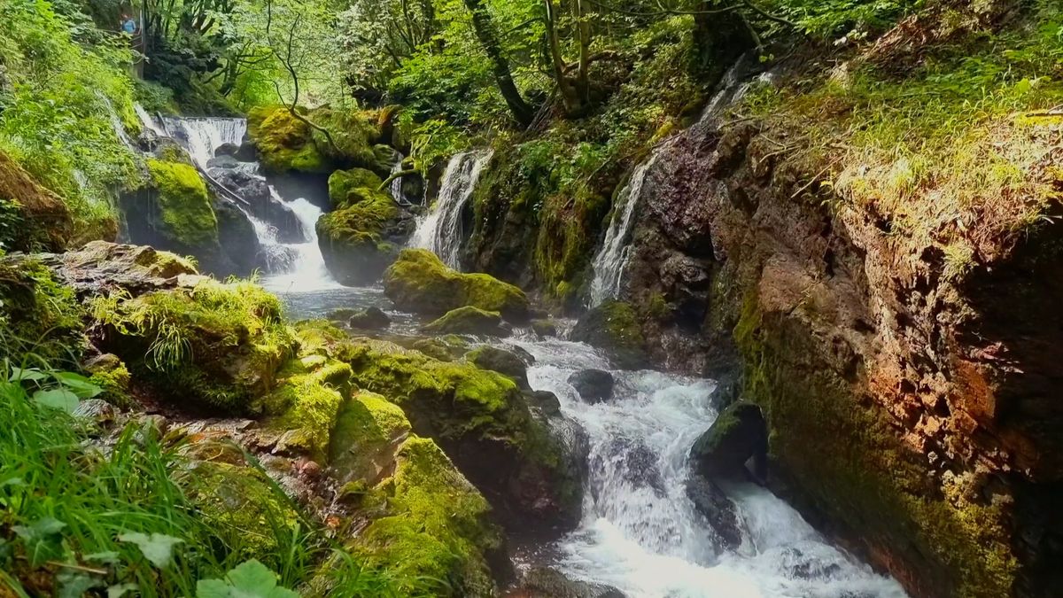 Flowing River Free Stock Video Footage, Royalty-Free 4K & HD Video Clip