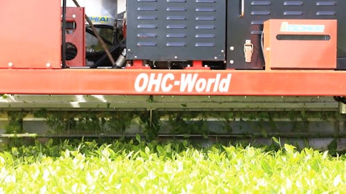 Close up of Combine Harvester Working on Field