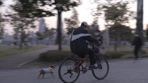 Man on Bicycle with Dog