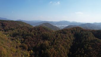 香山视频素材