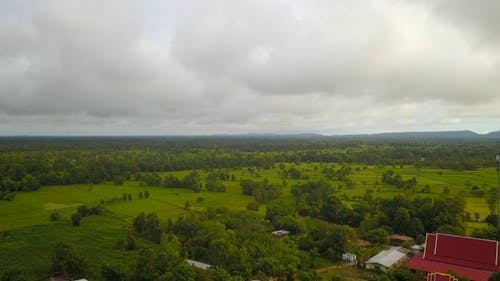 Overcast over Plains with Trees