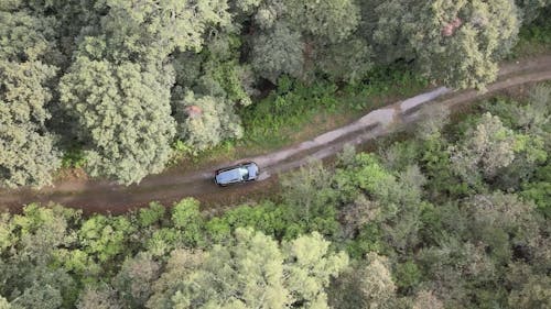 Car on Ground Road in Forest