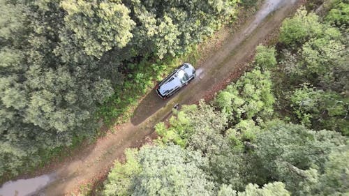 Overhead View of Car in Forest