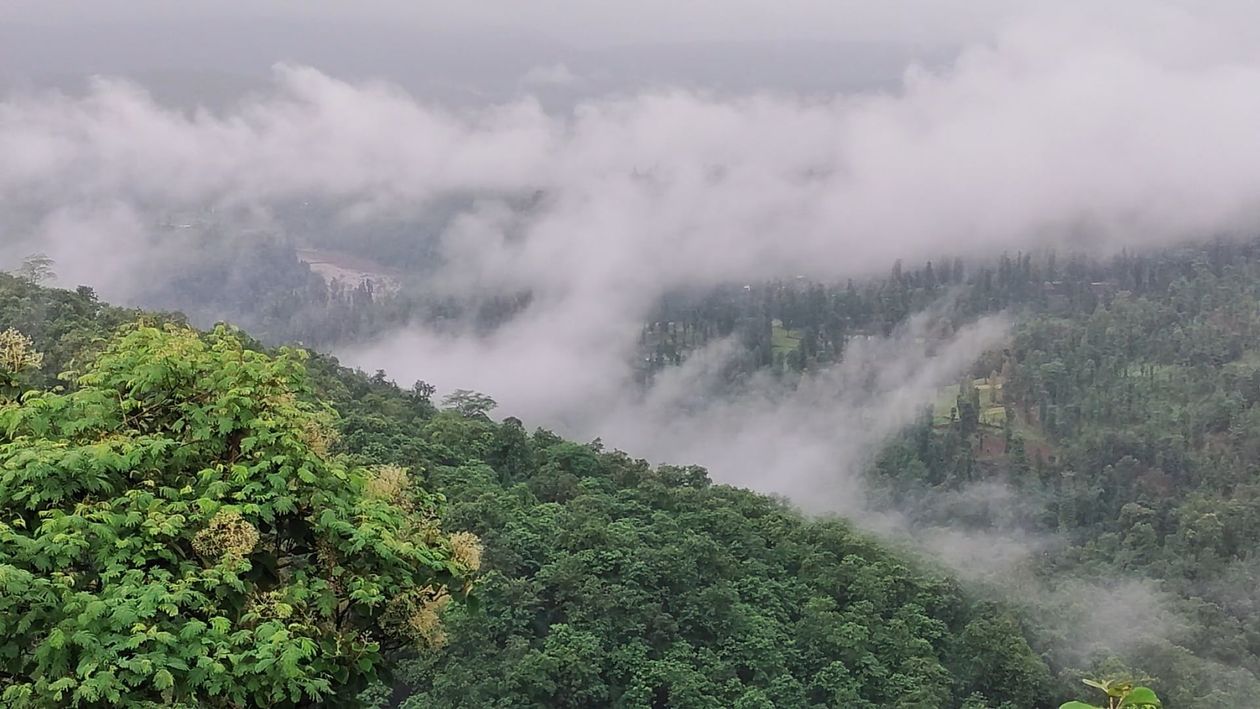 A view of the mountains and trees covered in fog Free Stock Video ...