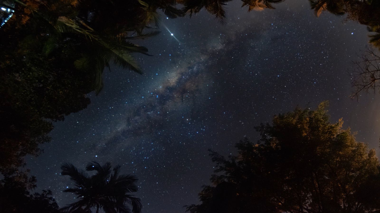 Time lapse of the Milky Way behind the trees on the beach Free Stock ...