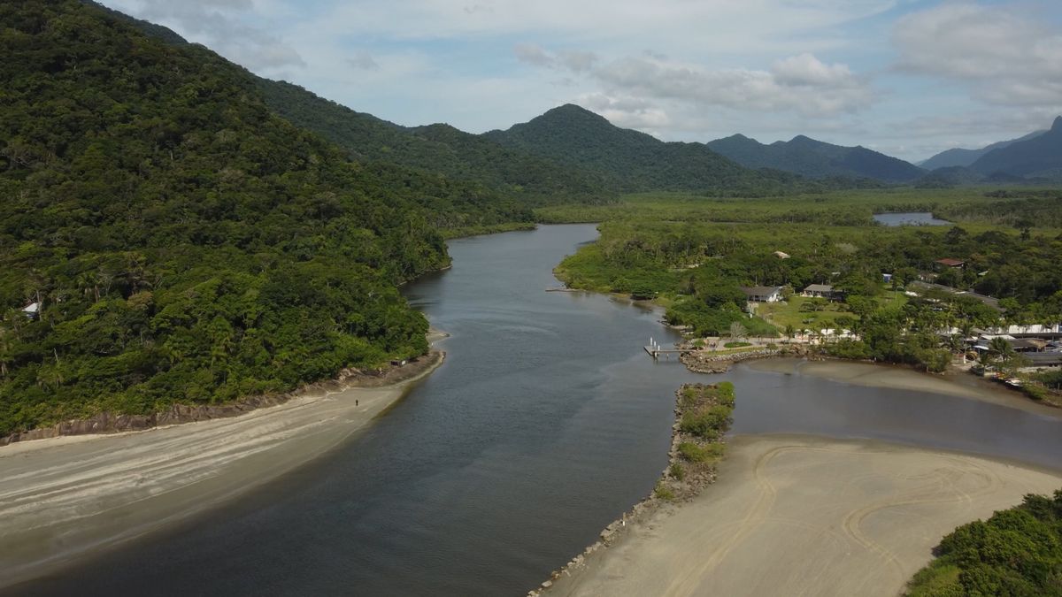 Drone video of a river in an Atlantic forest vegetation Free Stock ...