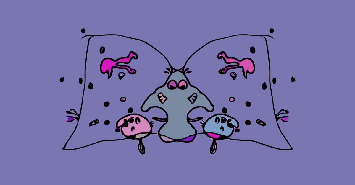 Java Developer Animation Purple Drawing Animation on Purple Background Free Stock Video Footage ...