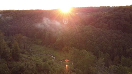 Sunlight over Woods Drone Footage