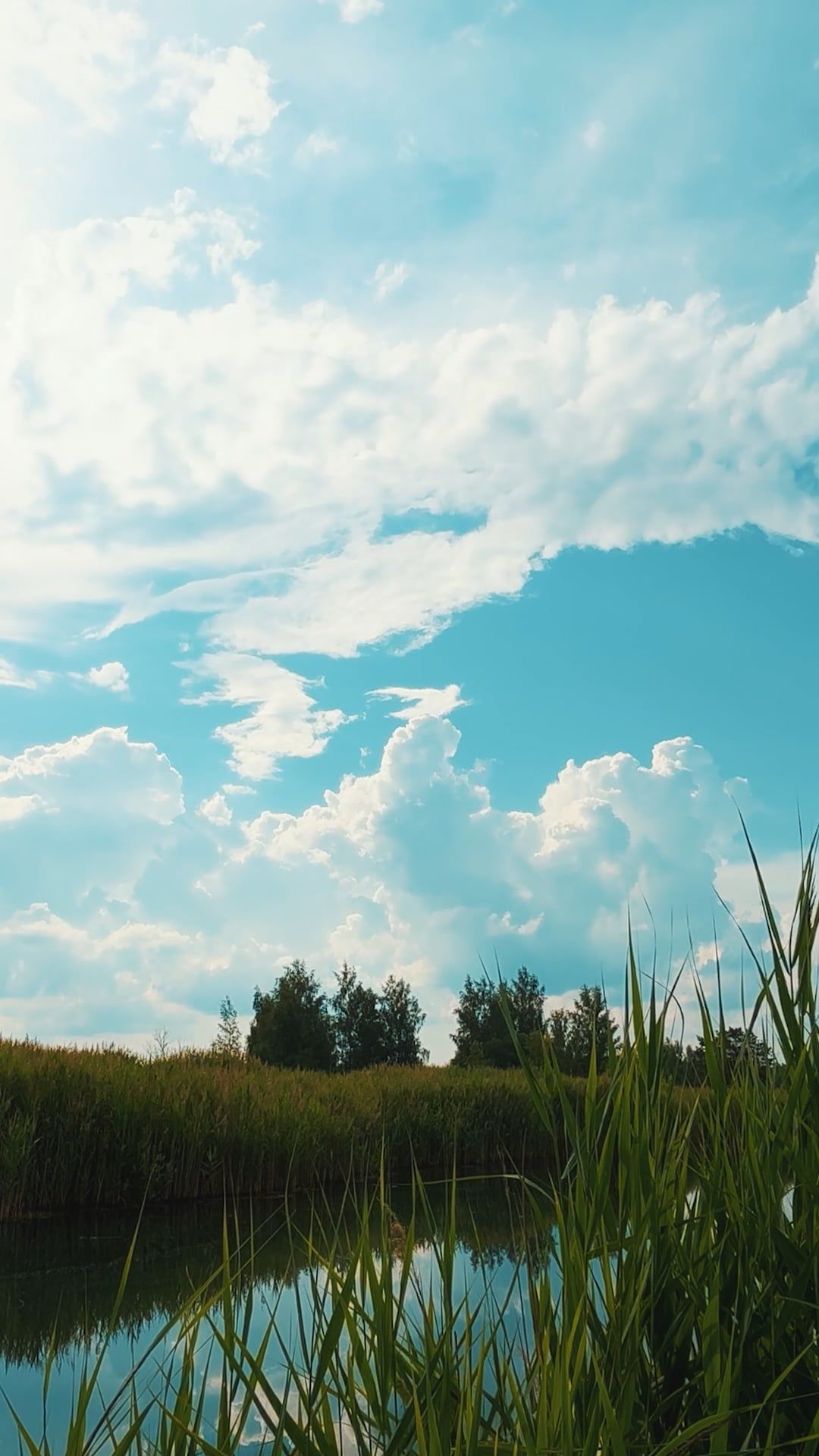 Video by Dmitry Marchenkov