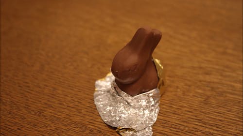 Close up of Chocolate Bunny