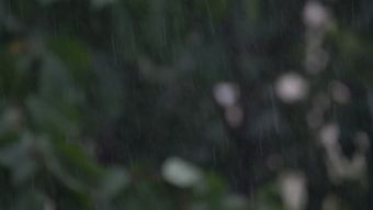 下雨视频素材