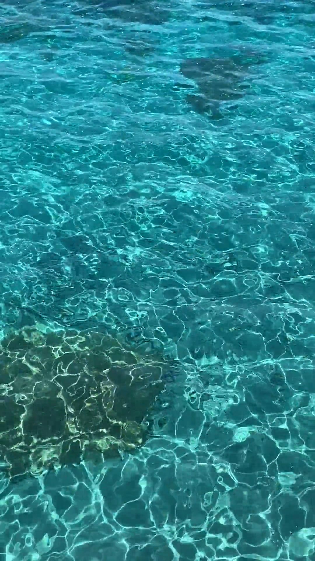 Video by Andreas Grossniklaus