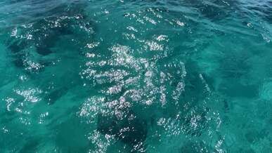 moving over water surface