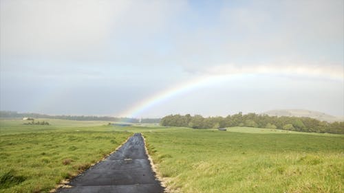 Rainbow over Meadow
