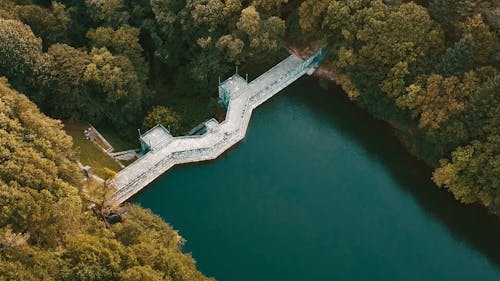 River and Dam in Forest