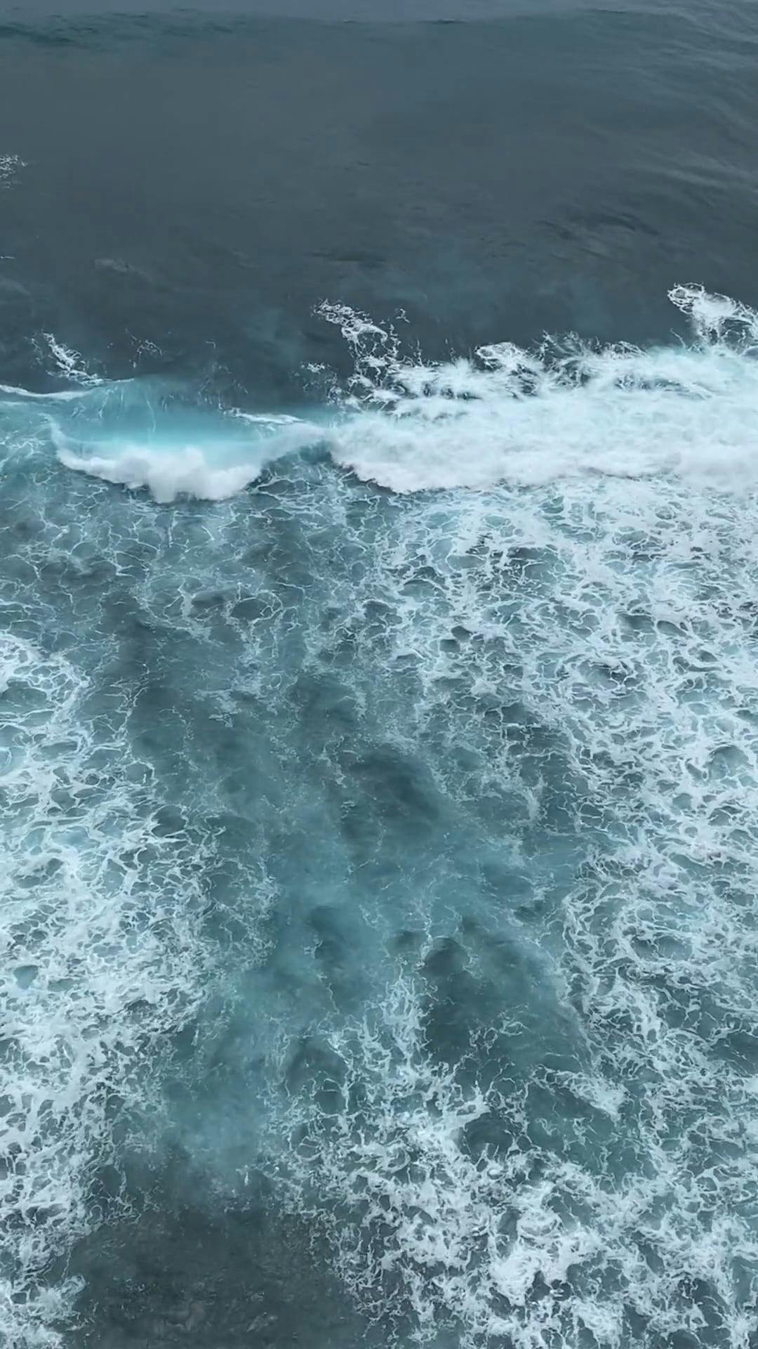 Pexels Video 13107684