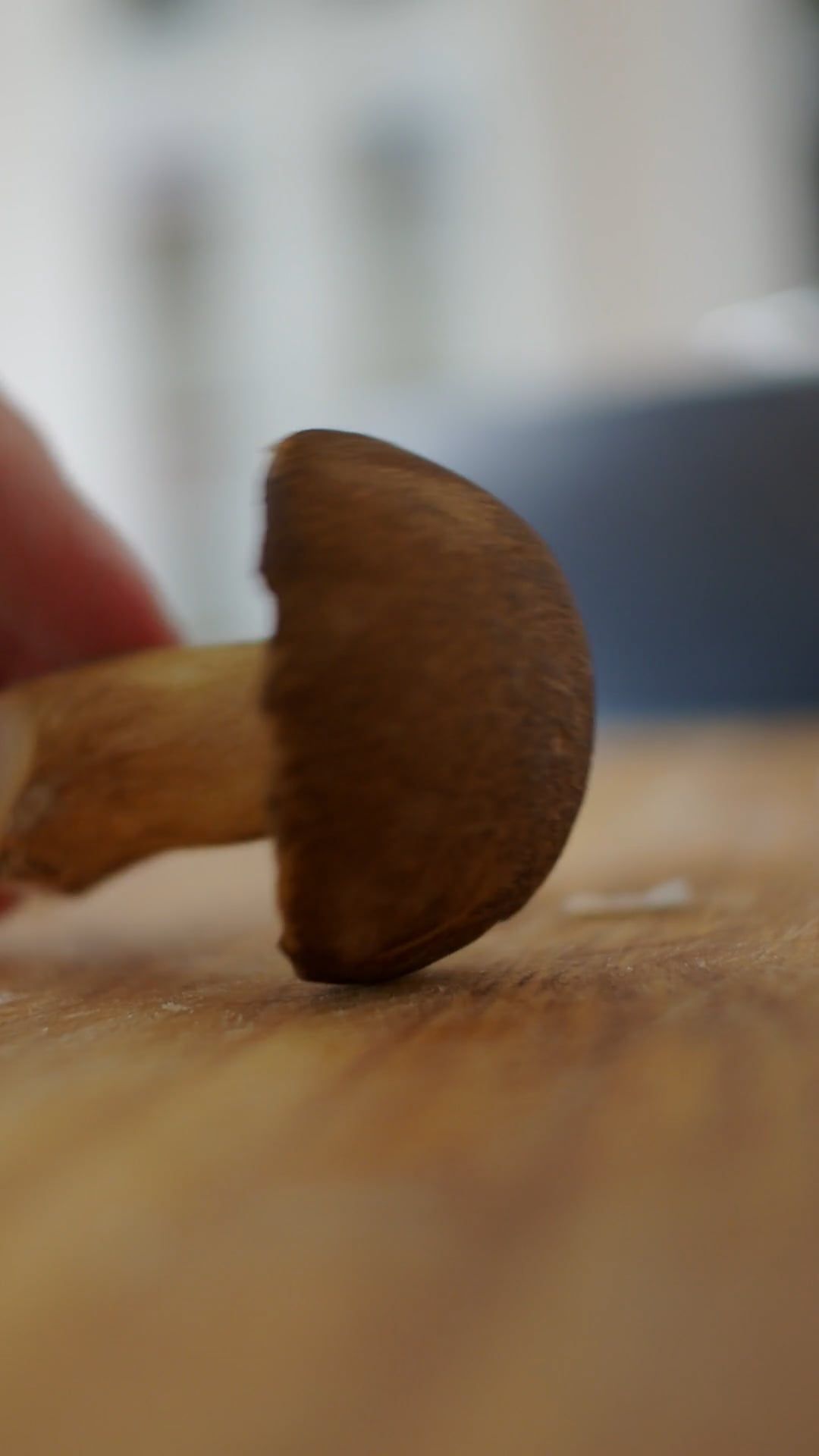 watch till the end
🎥 Ira Po · Pexels
#satisfying #oddlysatisfying #asmr #relaxing #fyp
