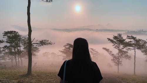 Back View of a Woman Walking in a Misty Mountain Landscape 