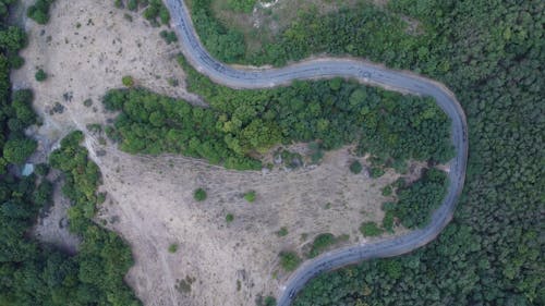 Cars on Curvy Road in Woods