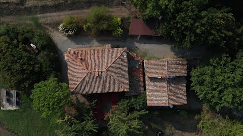 Roofs of Houses near Trees