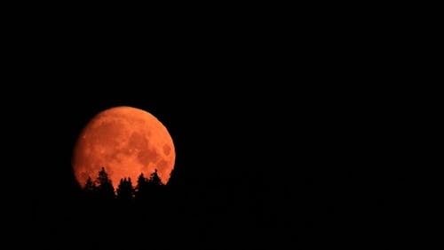 Full Moon at Night