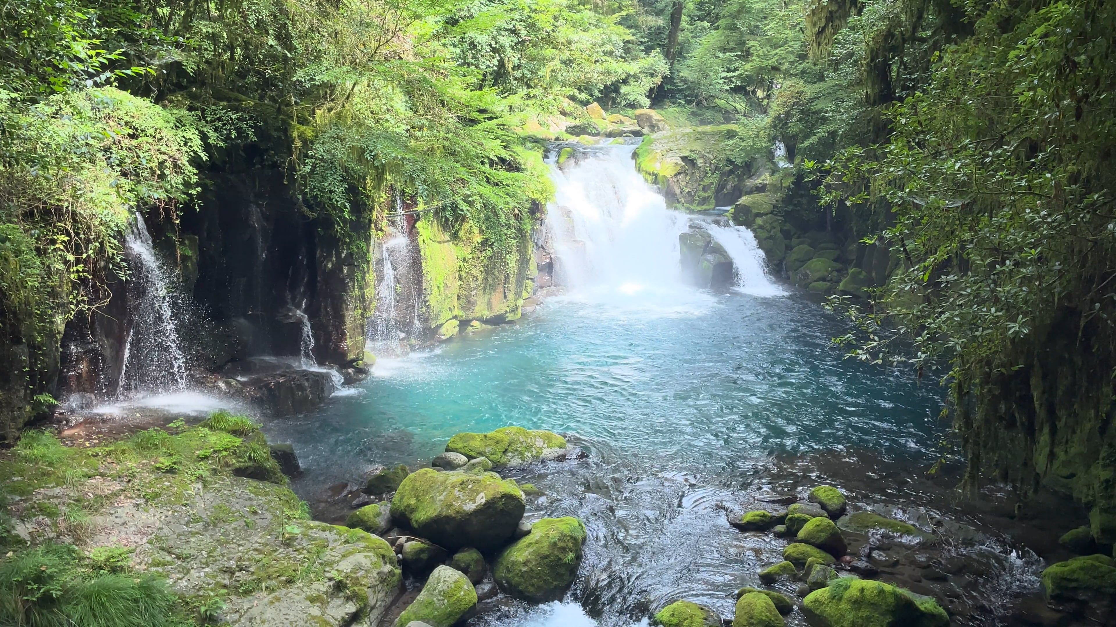 Waterfalls In Forest Free Stock Video Footage Royalty Free 4k Hd