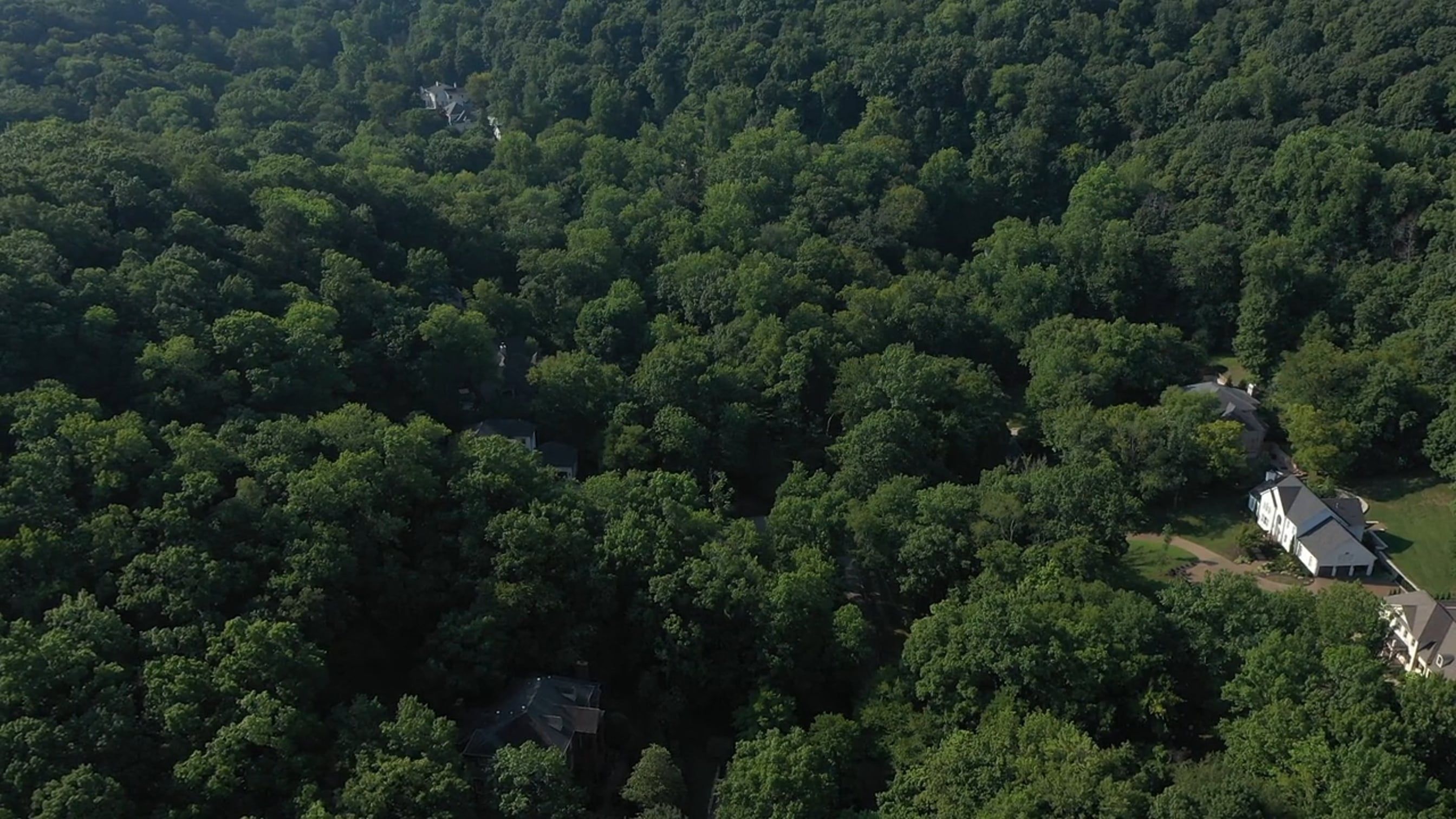 Aerial View of Country Houses among Green Forest Trees Free Stock Video ...