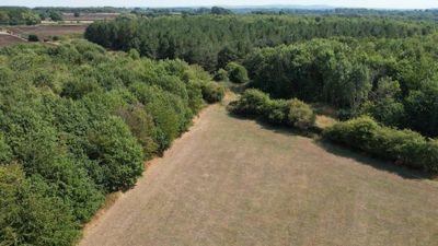 An aerial view of a field with trees and grass Free Stock Video Footage ...