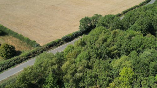 Drone View of a Cyclist on a Country Road 