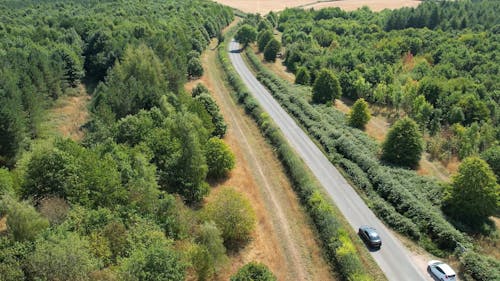 Drone Footage of a Car on a Country Road